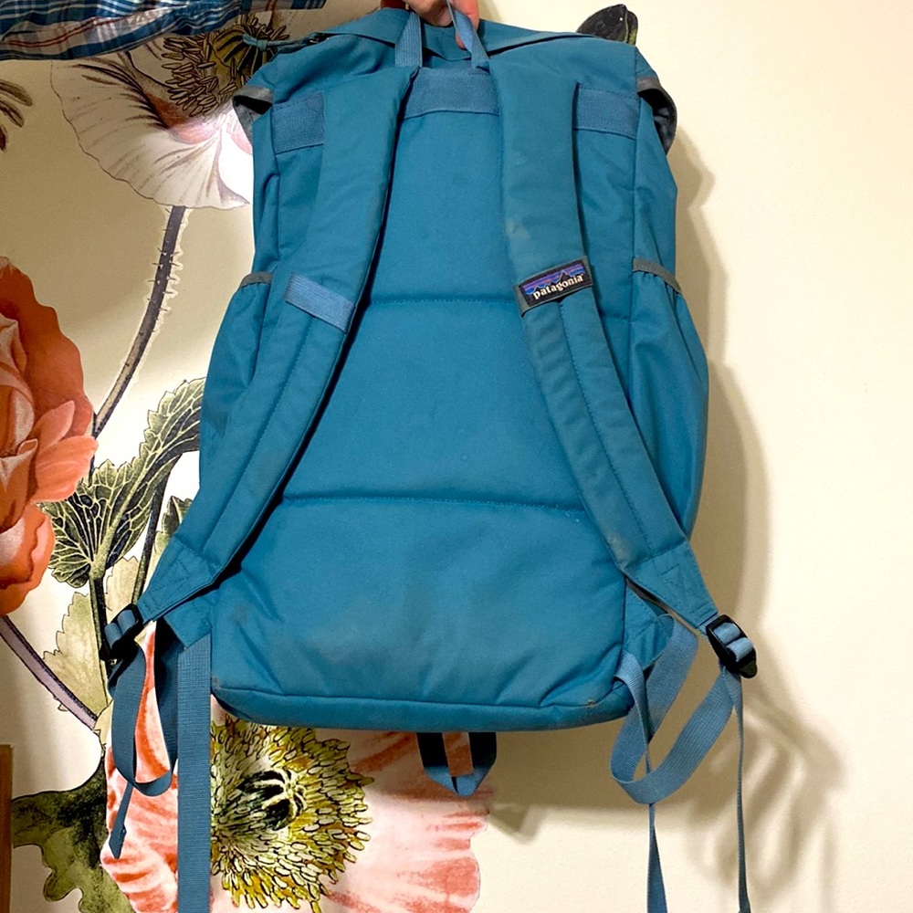Patagonia Backpack - image 4